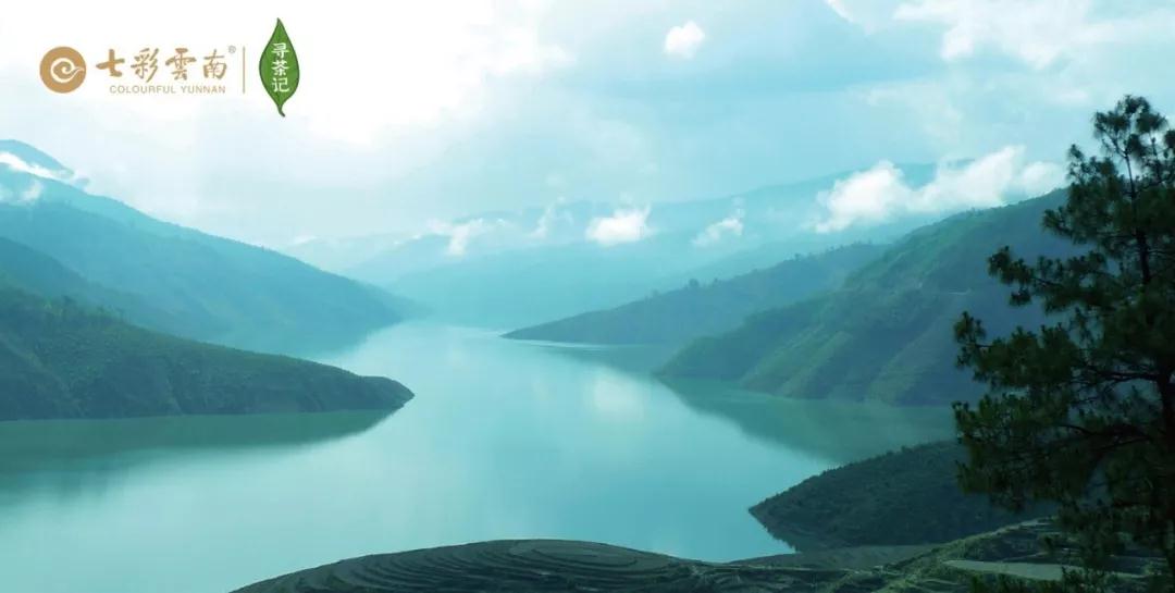 5dc3d6efeea23.jpg 5.jpg