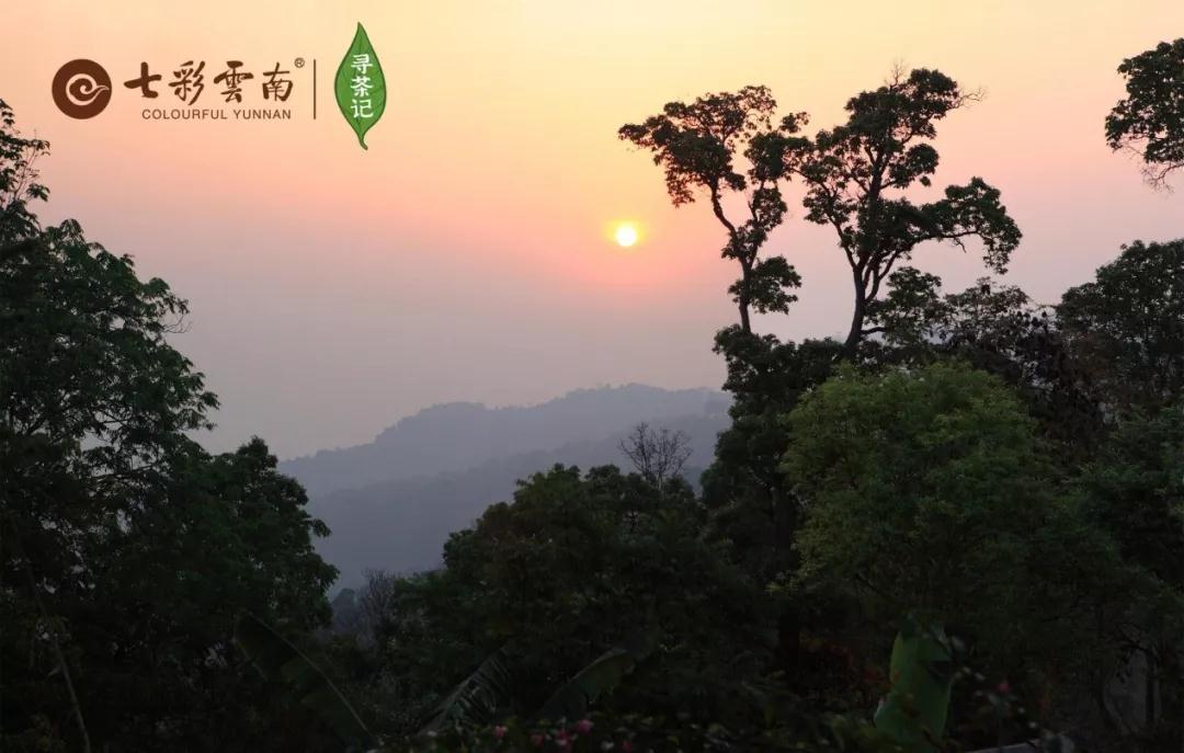 5dc3d6fb994e9.jpg 6.jpg