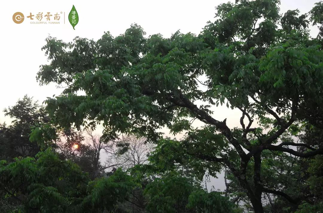 5dc3d703c6d8c.jpg 7.jpg