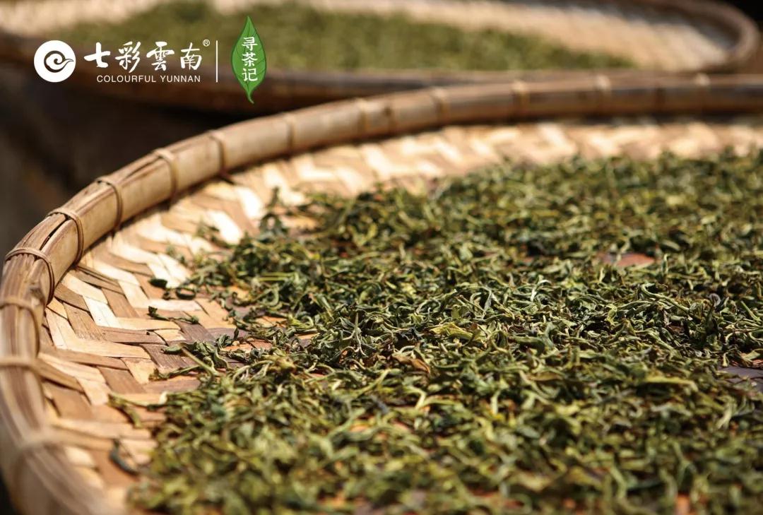 5dc3d72939891.jpg 10.jpg