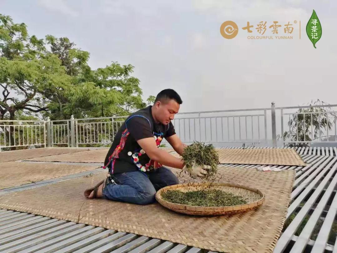 5dc3d73043be3.jpg 11.jpg