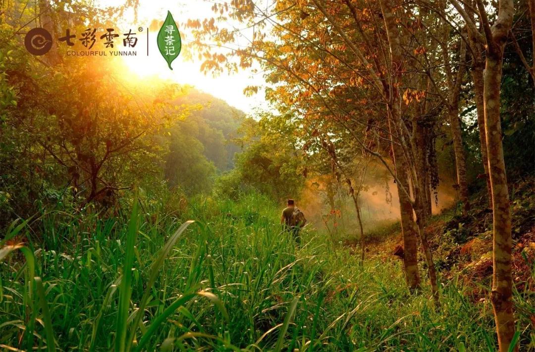 5dc3d73e54ce6.jpg 12.jpg