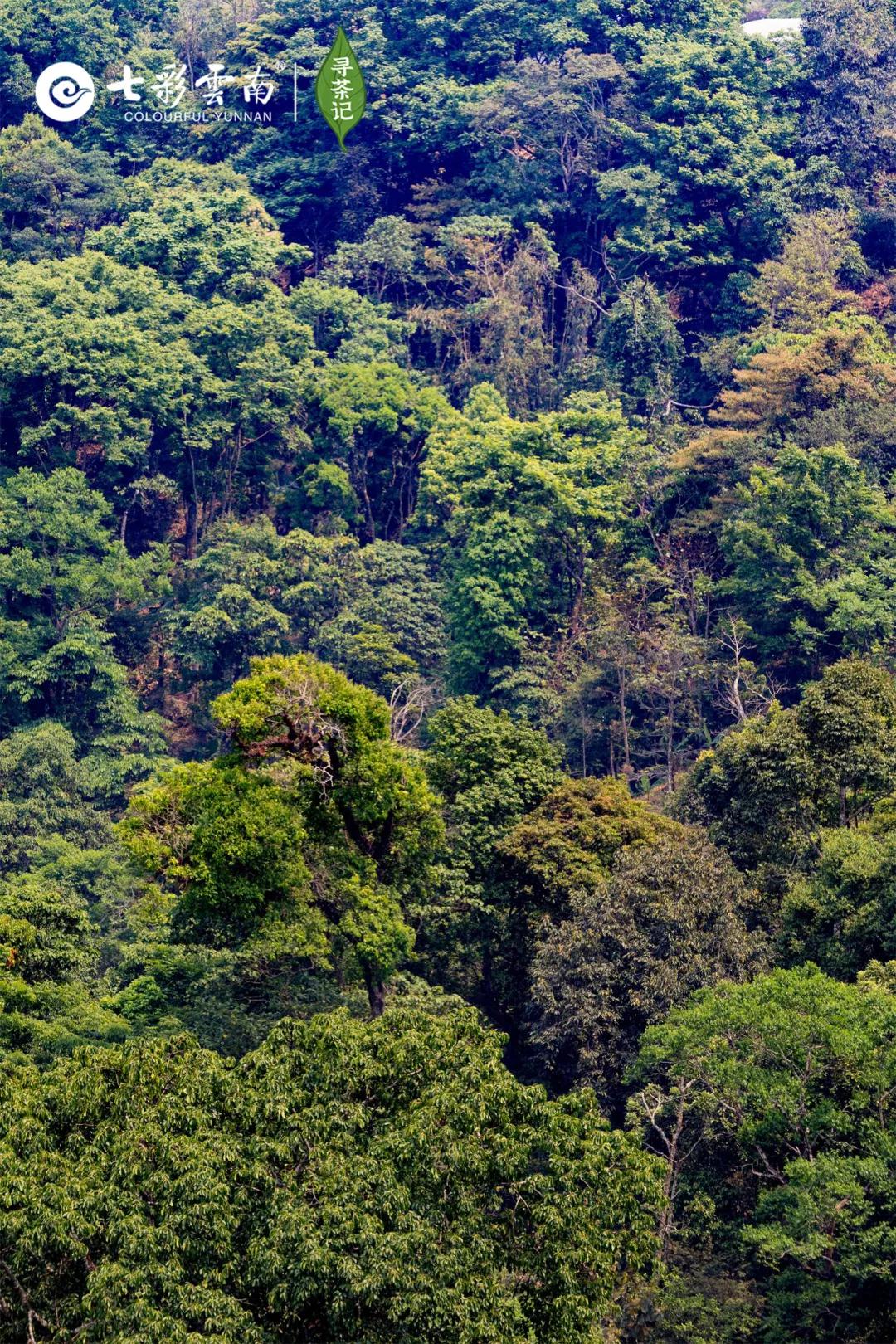 5dc5128d653da.jpg 3.jpg