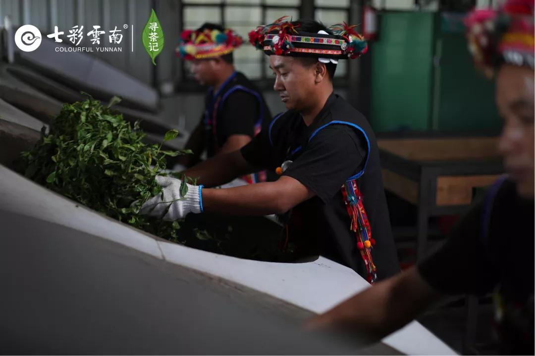 5dc512ca34932.jpg 8.jpg