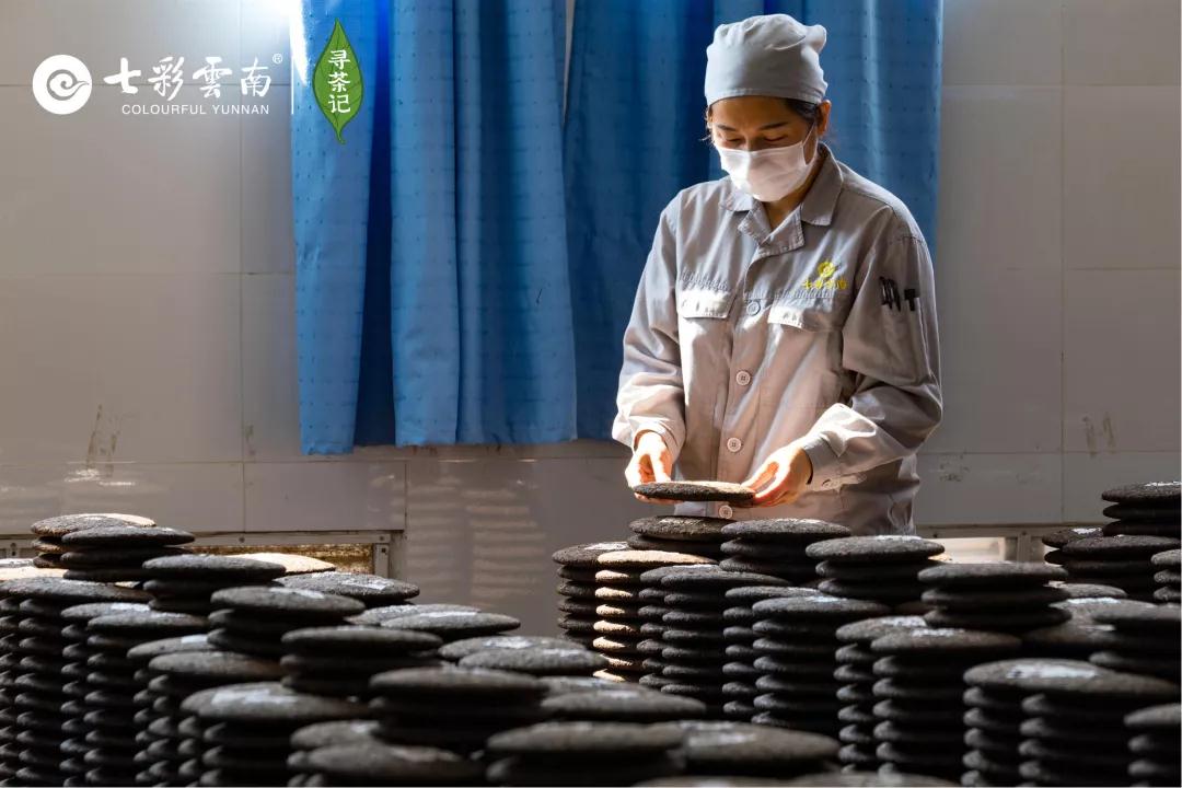 5dc512d1c1bdd.jpg 9.jpg