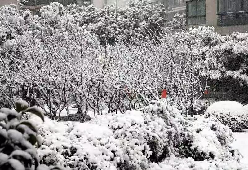 5e4ba1a726bb2.jpg 12.jpg