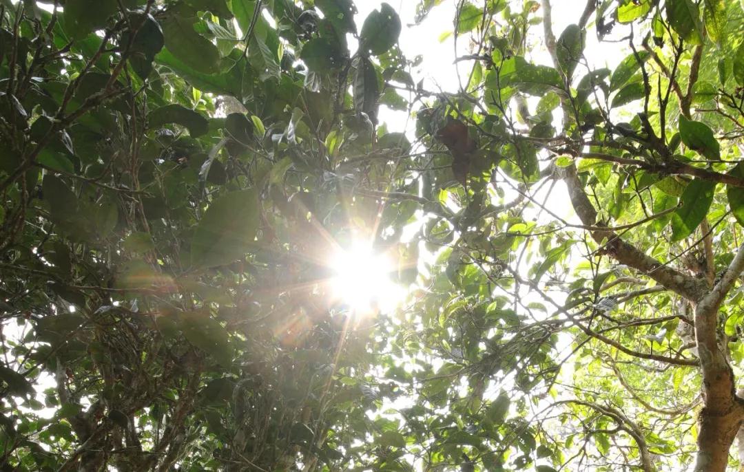 5e586953585b8.jpg 5e586953585b8.jpg