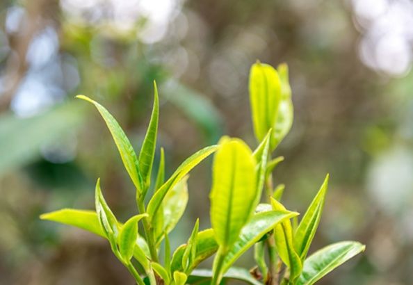 5e676739cb92b.jpg 5e676739cb92b.jpg