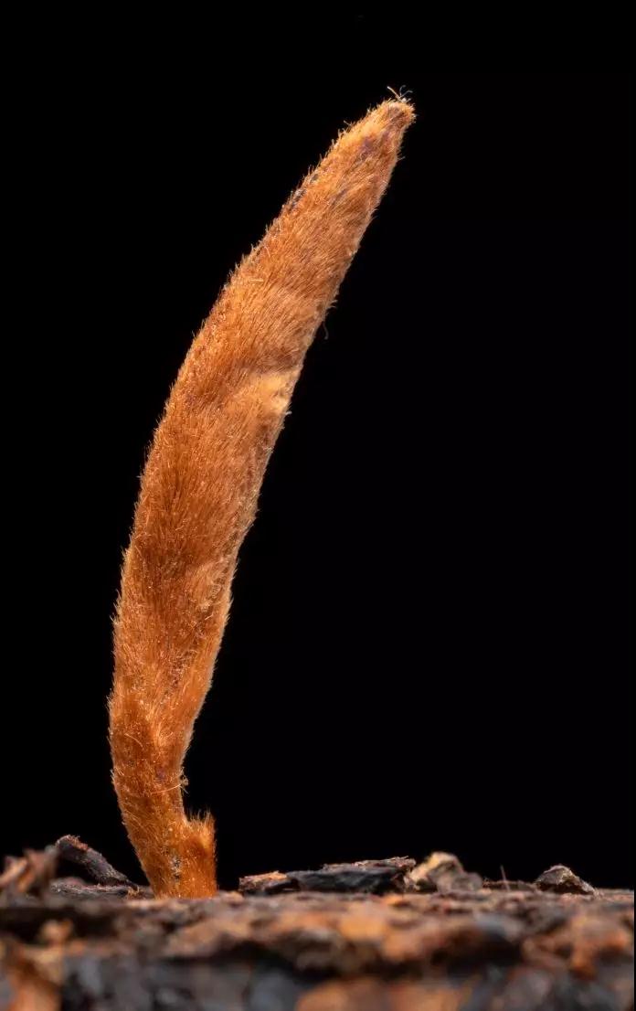 5e6767bf07386.jpg 5e6767bf07386.jpg