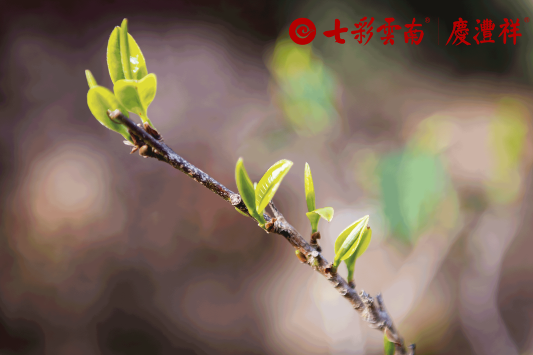 5e72d0e1524b0.png image.png