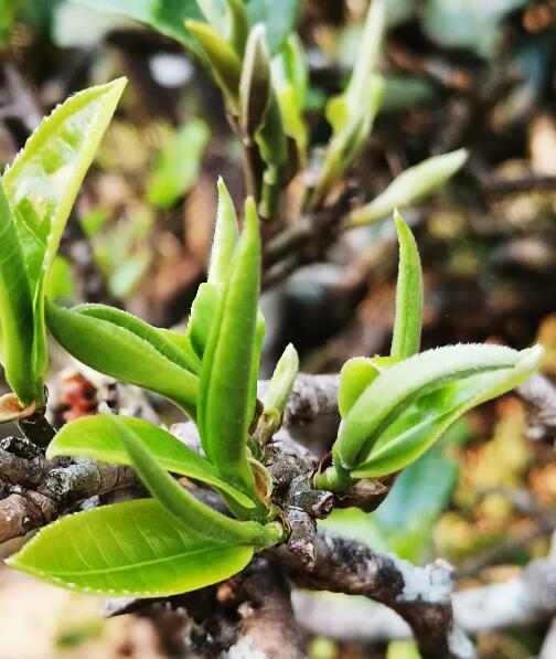 5e787092725ab.jpg QQ圖片20200323112054.jpg