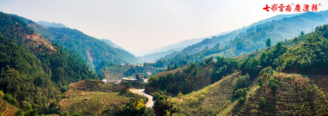 5e911db003926.png blob.png