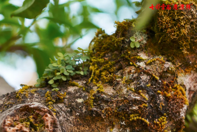 5e911e345fbbc.png blob.png