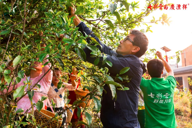 5e911e8191afd.png blob.png