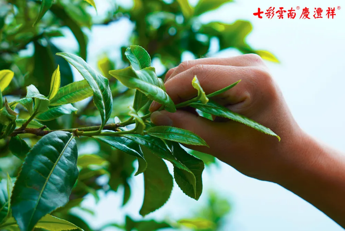 5e911eb55c3a5.png blob.png