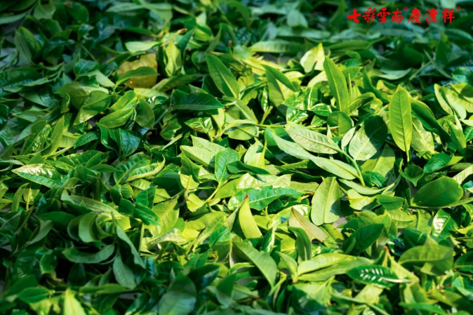 5e911efdce0fc.png blob.png