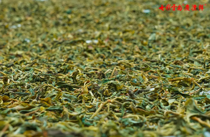 5e911f4599f1d.png blob.png