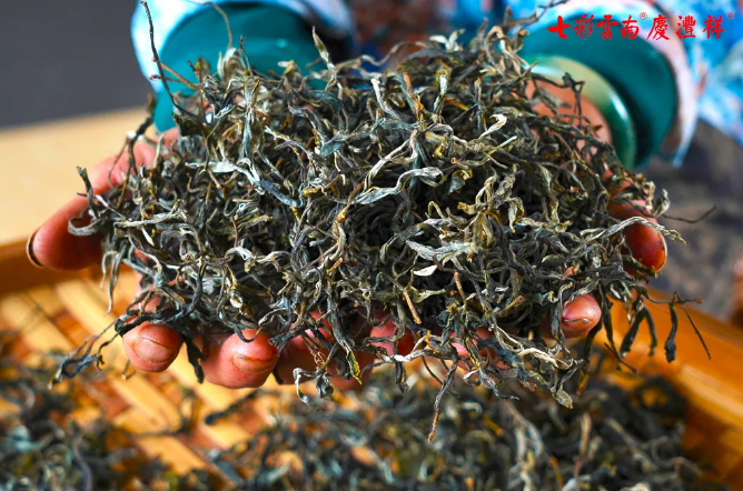 5e911f69dd578.png blob.png