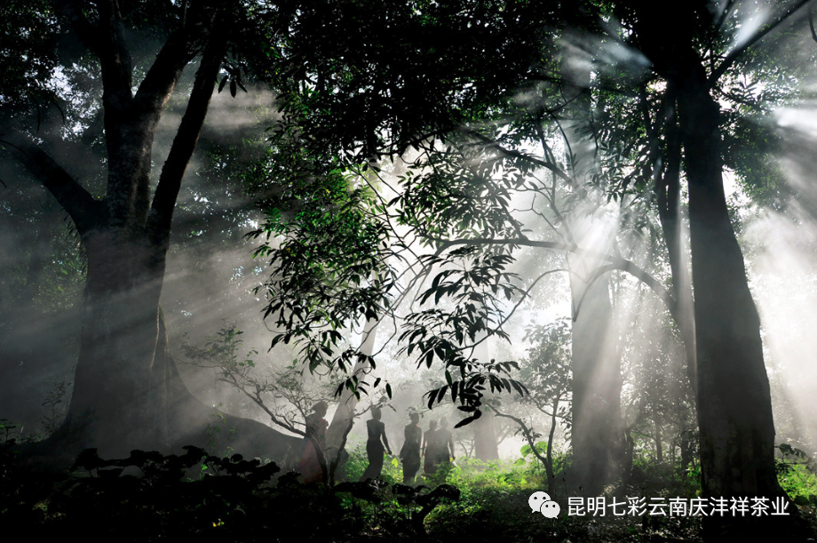 5ef198b601750.png 微信圖片_20200623135137.png