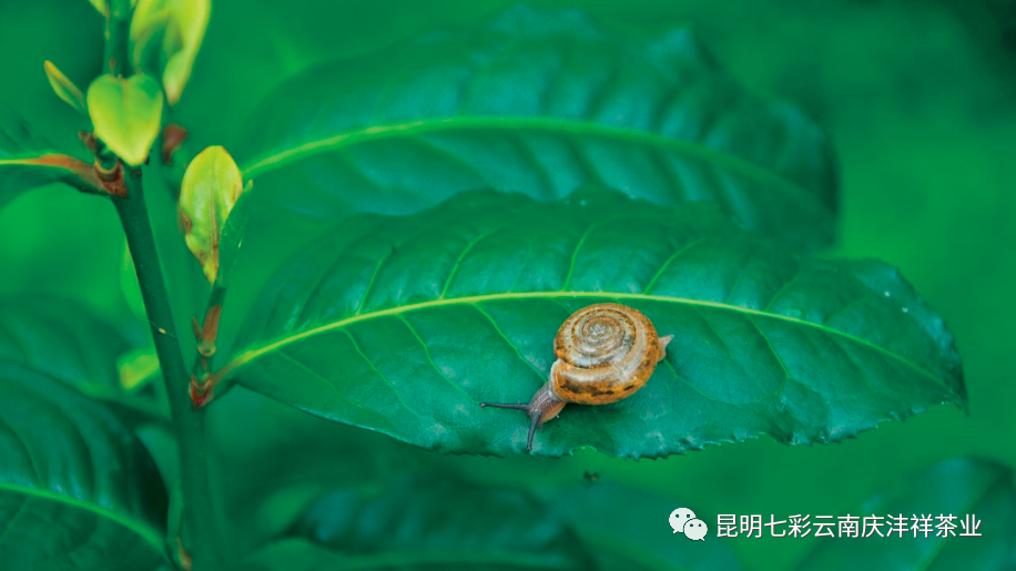 5ef198c34fd47.png 微信圖片_20200623135156.png