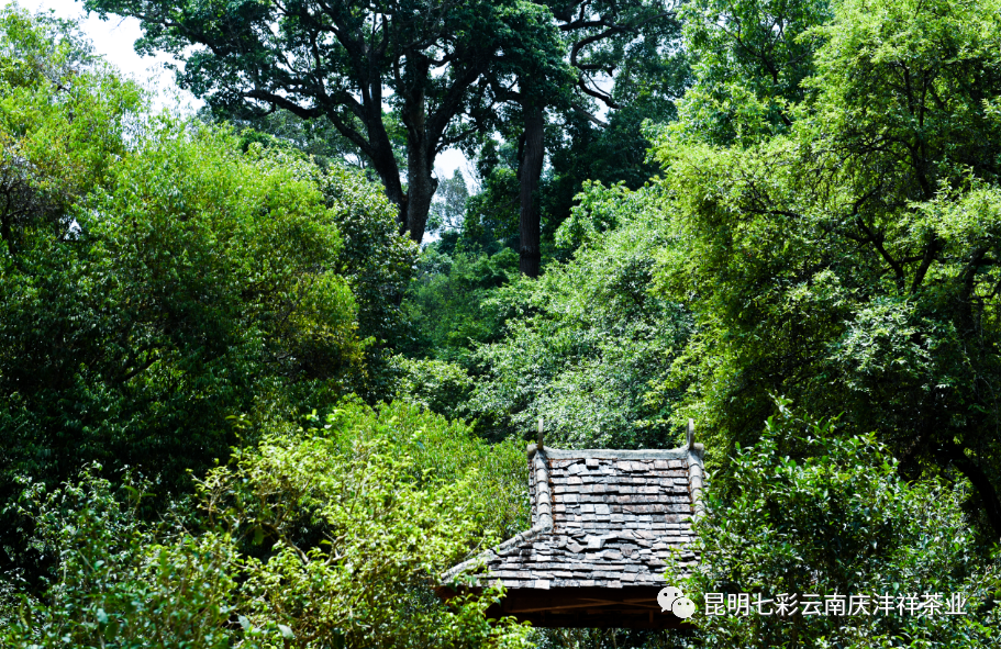 5ef198d283c57.png 微信圖片_20200623135206.png