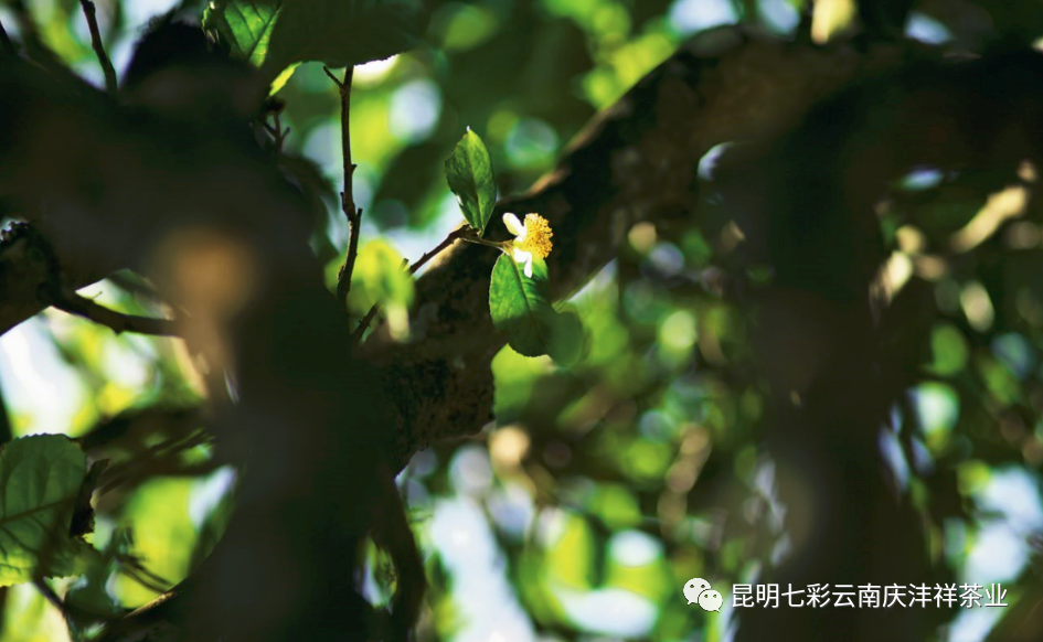 5ef198df2d67b.png 微信圖片_20200623135213.png