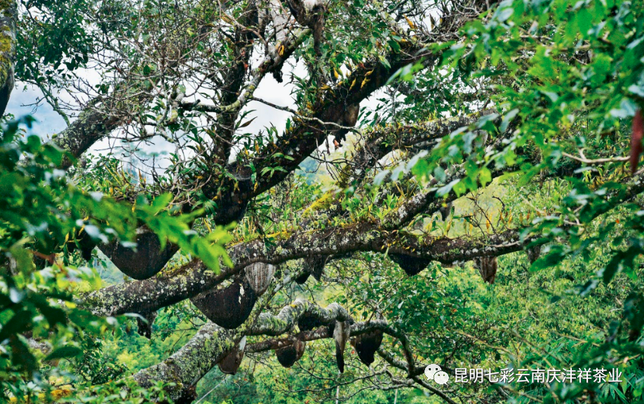 5ef198e6544aa.png 微信圖片_20200623135216.png