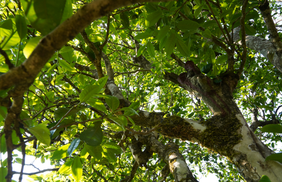 5ef1997bdd1f8.png 微信圖片_20200623135458.png