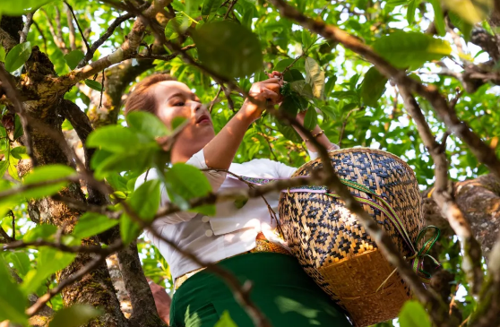 5ef1a59f9d33d.png blob.png