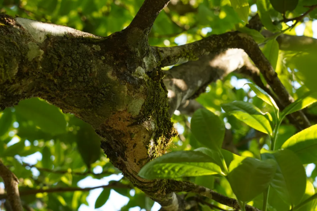 5ef1a5b8db6c2.png blob.png