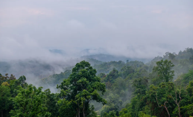 5ef1a5ef84900.png blob.png