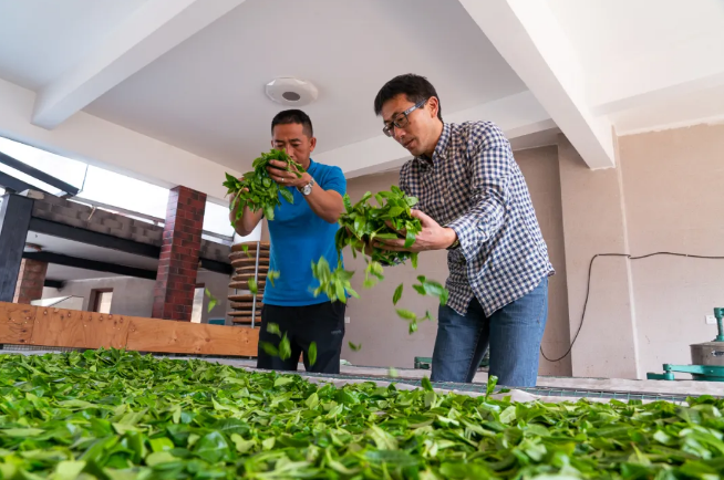 5ef1a5f969ec6.png blob.png