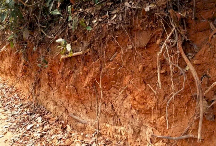 5f334a5b2d50b.png blob.png