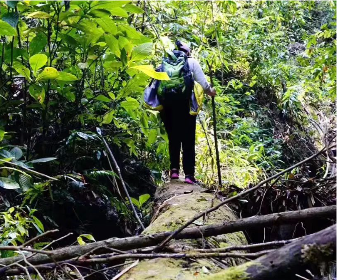 5f334b2e904f2.png blob.png