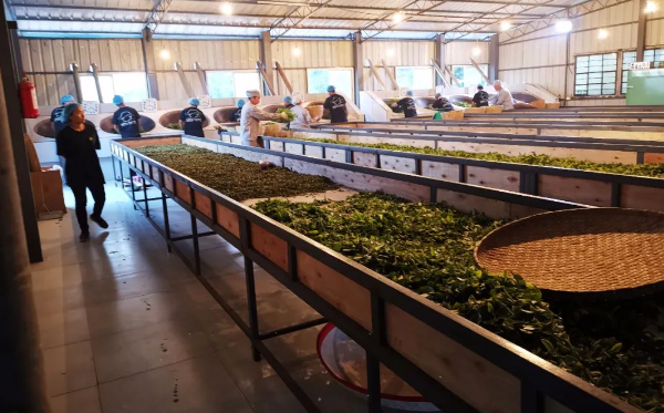 5f334e128e963.png blob.png