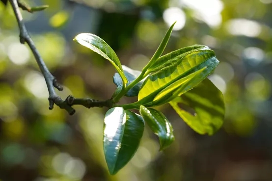 61691ff941013.jpg 640.webp (2).jpg