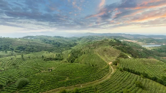 616920132efc1.jpg 640.webp (3).jpg