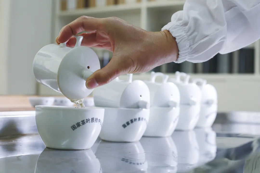 61692cd118e84.jpg 640.webp (3).jpg