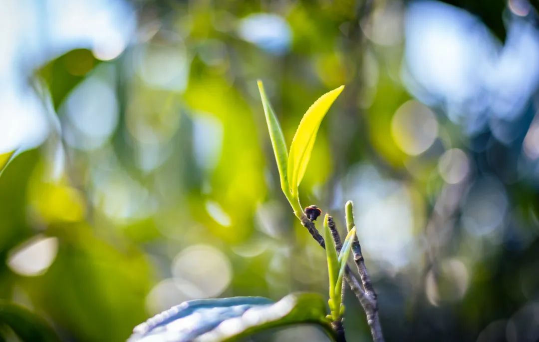 623ec0e5e0e5b.jpg 623ec0e5e0e5b.jpg