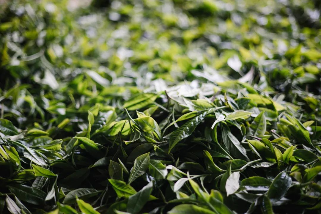 623ec21075436.jpg 623ec21075436.jpg