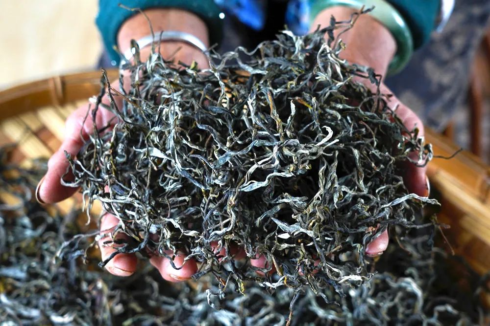 623ec26582bfc.jpg 623ec26582bfc.jpg