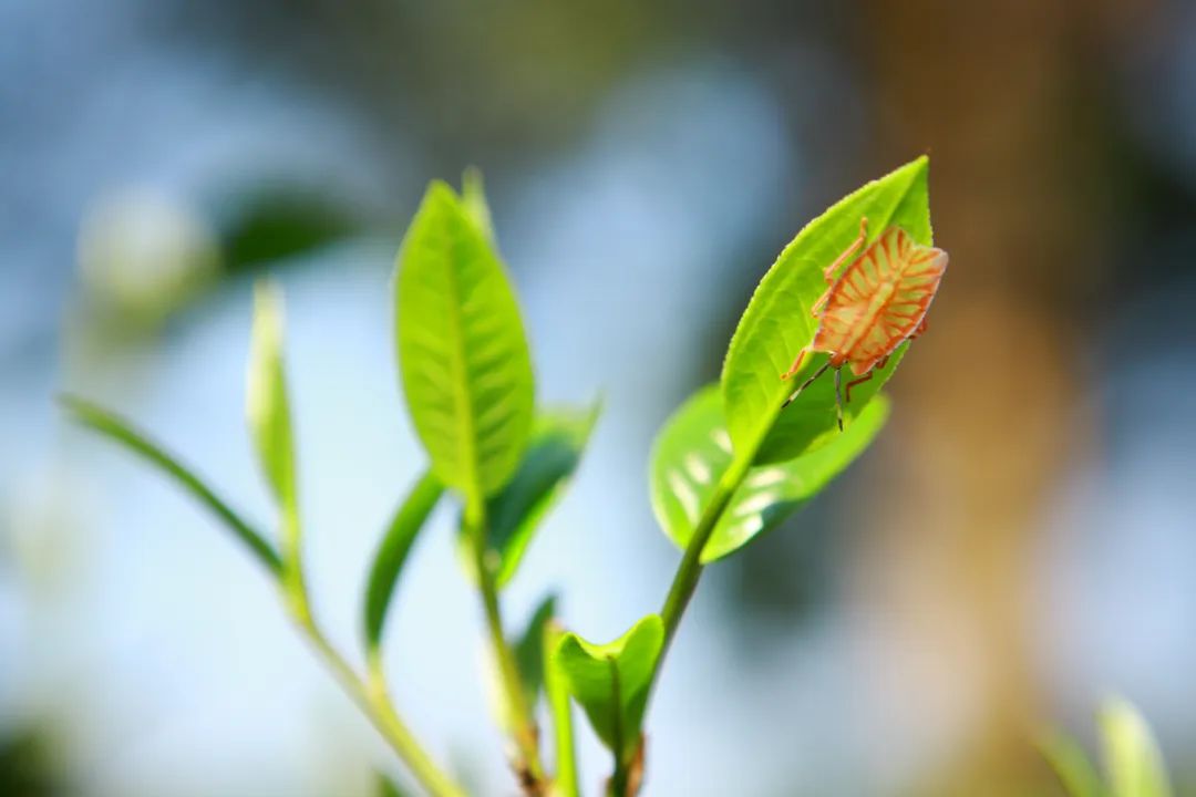 6243be6540d92.jpg 6243be6540d92.jpg