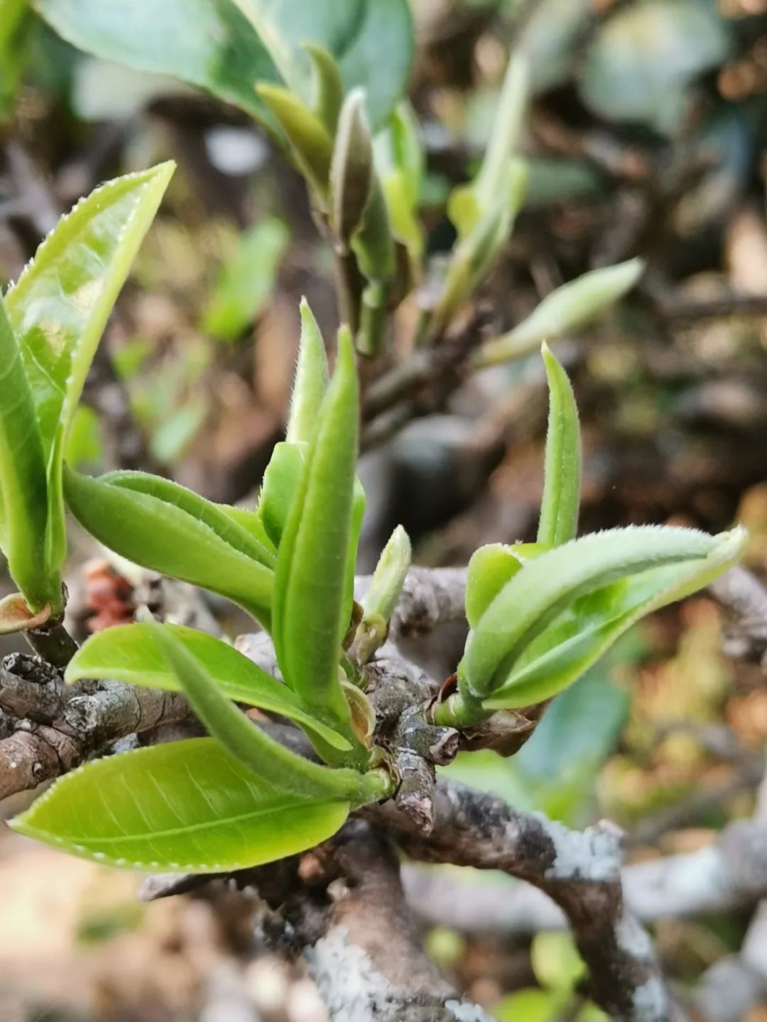 6243be9ec55ef.jpg 6243be9ec55ef.jpg