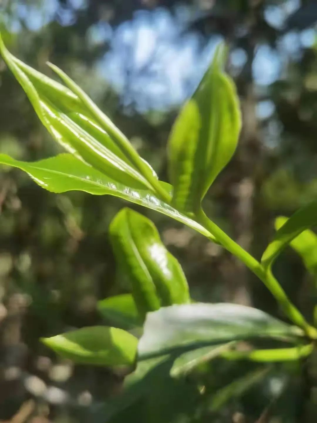 6243bf068527d.jpg 6243bf068527d.jpg