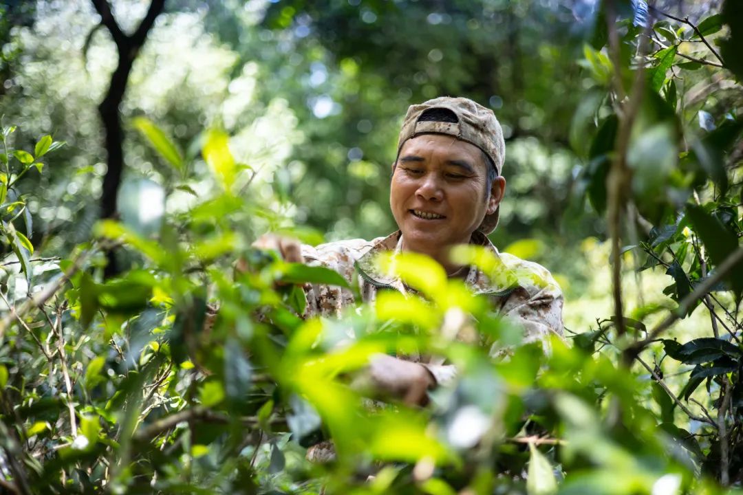 6243bf2c77e56.jpg 6243bf2c77e56.jpg