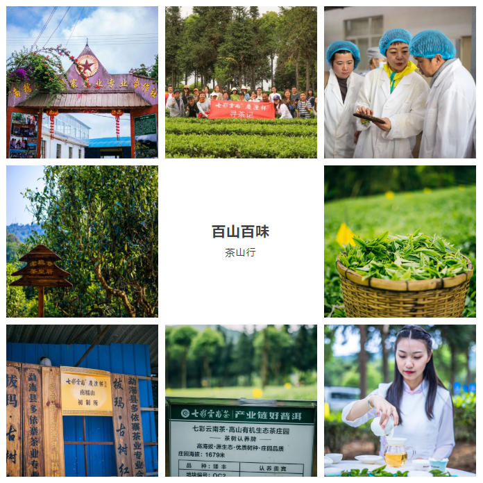 6243bfecc1351.png 6243bfecc1351.png