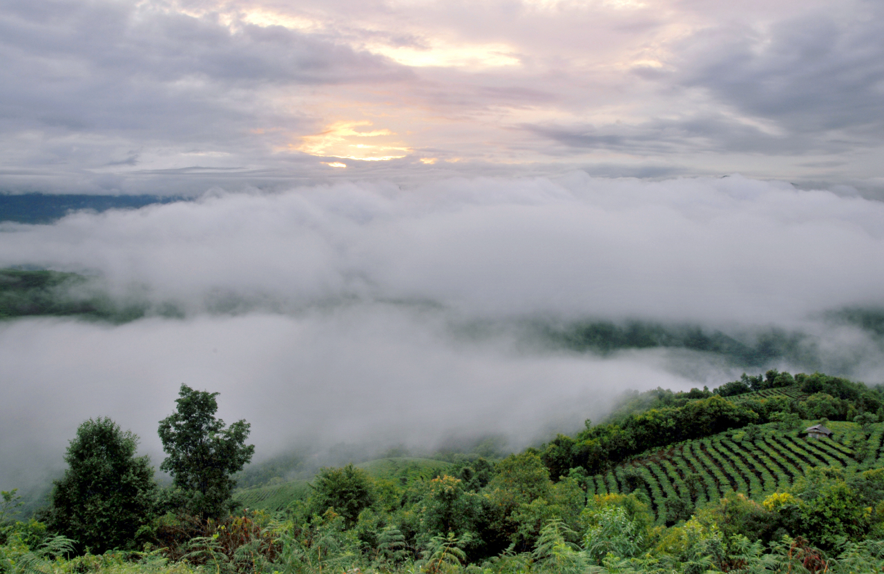 6243c06715b4b.jpg 6243c06715b4b.jpg