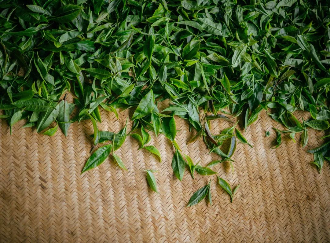 6243c68553fe6.jpg 6243c68553fe6.jpg