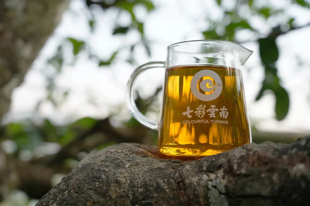 6243c6ecbd8df.jpg 6243c6ecbd8df.jpg