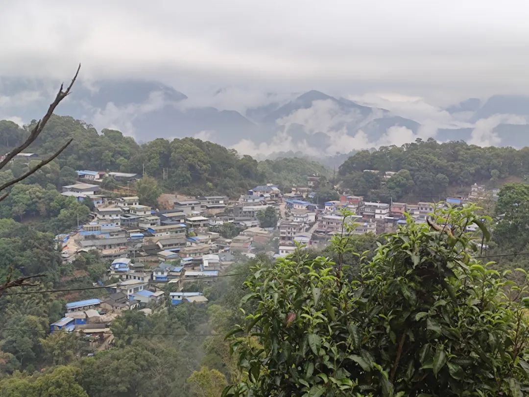 6243c791c1db4.jpg 6243c791c1db4.jpg